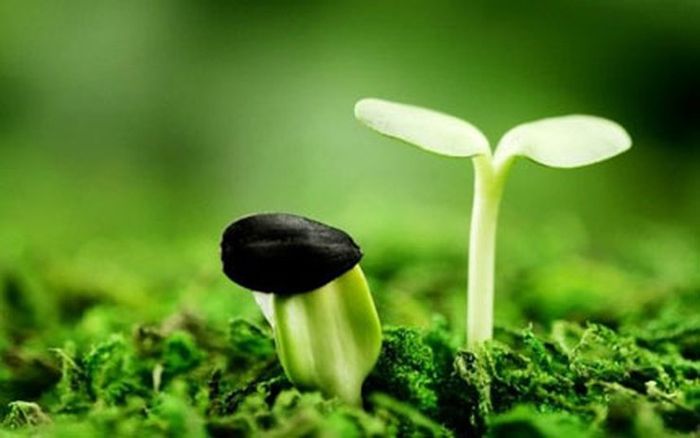 Hình ảnh minh họa: Ngọn hải đăng kiên cường giữa biển bão