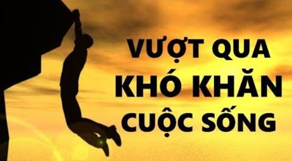 Hình ảnh biểu tượng: Cây cổ thụ vững vàng trước phong ba