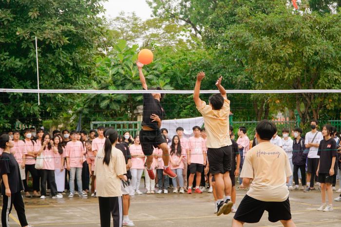 Hình ảnh ấn tượng về THPT Hàm Rồng - ngôi trường với bề dày thành tích