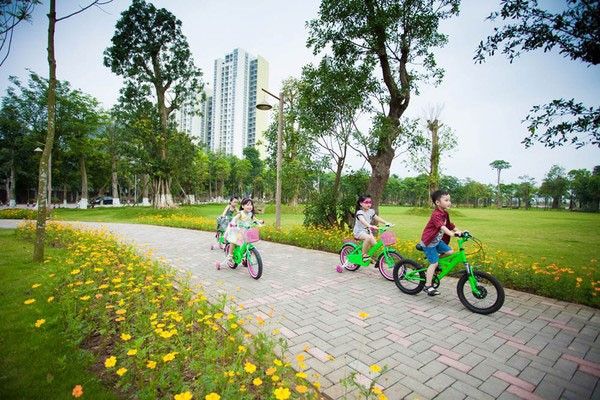Hình ảnh minh họa số 1 (Nguồn: internet)