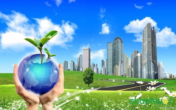 Hình ảnh minh họa sinh động (Nguồn: Internet)