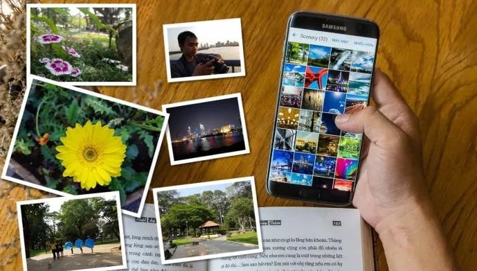 Hình ảnh minh họa sinh động (Nguồn: Internet)