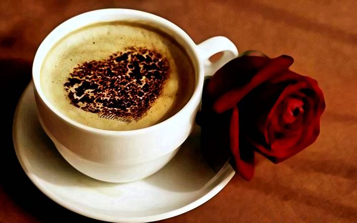 Ảnh minh họa: Cánh đồng cà phê Tây Nguyên