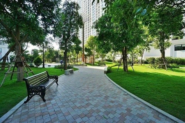 Hình ảnh minh họa số 1 (Nguồn: internet)
