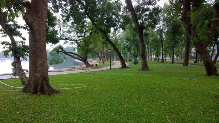 Hình ảnh minh họa số 1 (Nguồn: internet)
