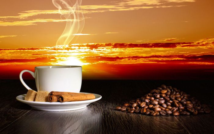 Ảnh minh họa: Những hạt cà phê Việt chất lượng