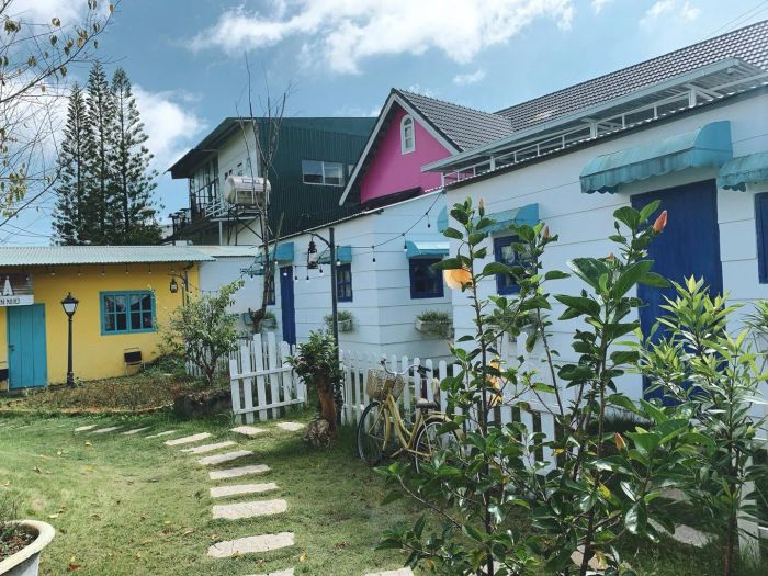 Thị Trấn Nhỏ Homestay Đà Lạt ảnh 2 - Không gian sống đầy chất thơ với vườn cỏ xanh mướt, nơi mỗi góc nhỏ đều mang đến cảm giác bình yên khó tả.