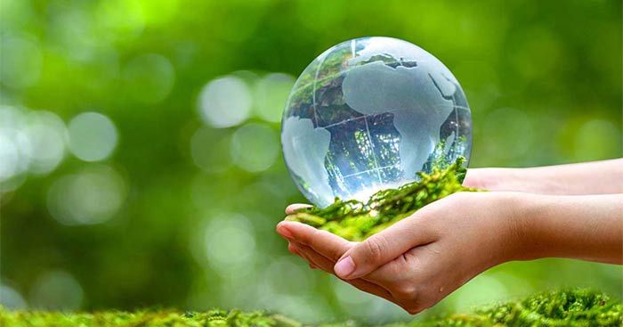 Hình ảnh minh họa môi trường xanh (Nguồn: Internet)