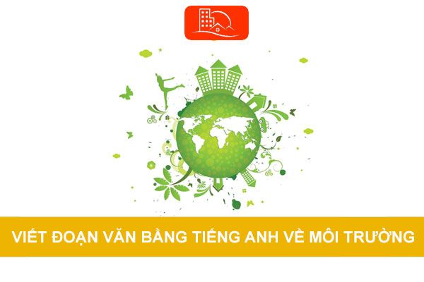 Hình ảnh minh họa đầy ý nghĩa (Nguồn: Internet)