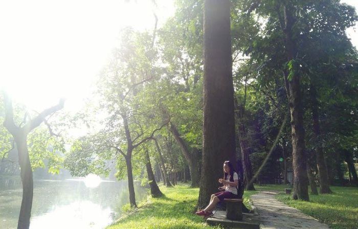 Hình ảnh minh họa số 1 (Nguồn: internet)