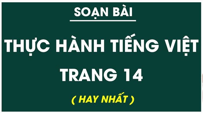 Hình ảnh minh họa sinh động (Nguồn: Internet)