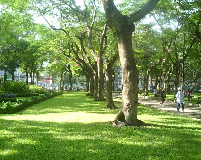 Hình ảnh minh họa số 1 (Nguồn: internet)