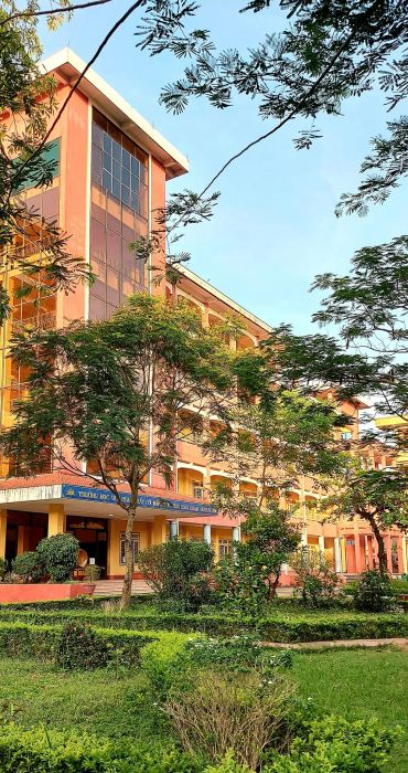 Hình ảnh 1 của Trường THCS Trần Mai Ninh
