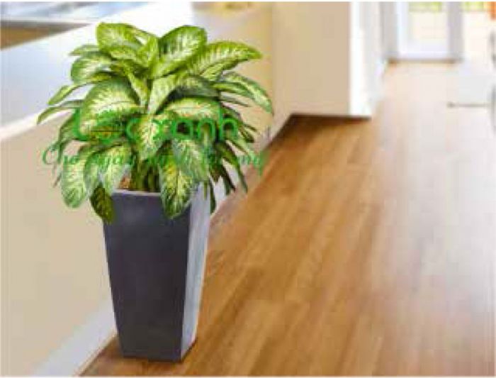 Tác phẩm nghệ thuật xanh tiêu biểu của Công Ty Cổ Phần Lộc Xanh