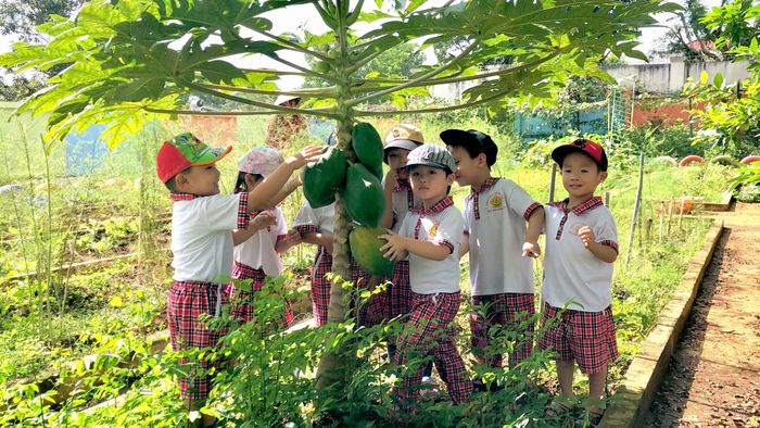 Những khoảnh khắc vui học đáng nhớ tại Trường Mầm Non 1 Bảo Lộc