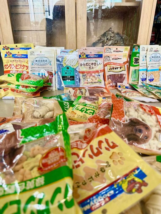 Hình ảnh Chóp Petshop – ảnh số 1