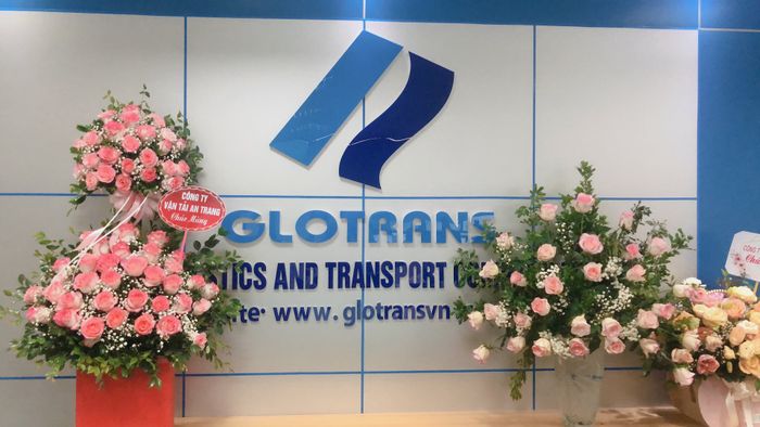 Glotrans ảnh 2