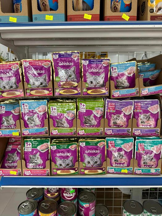 Hình ảnh NẤM PET BMT – ảnh số 2