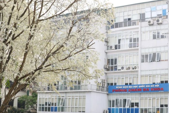 Hình ảnh Phòng Khám Đa Khoa 182 Lương Thế Vinh (Ảnh 1)
