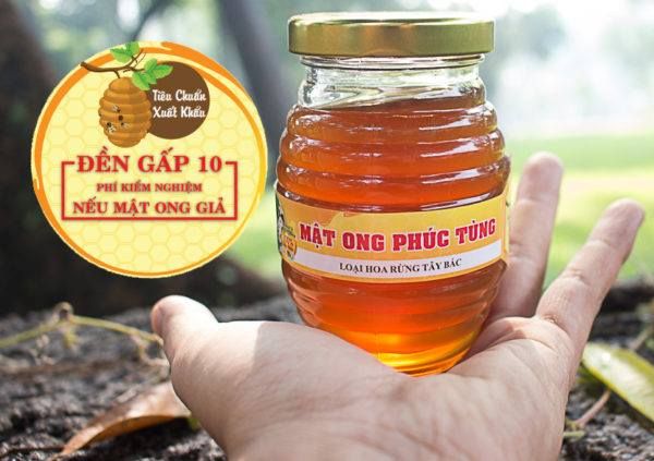 Bộ sưu tập mật ong cao cấp Phúc Tùng