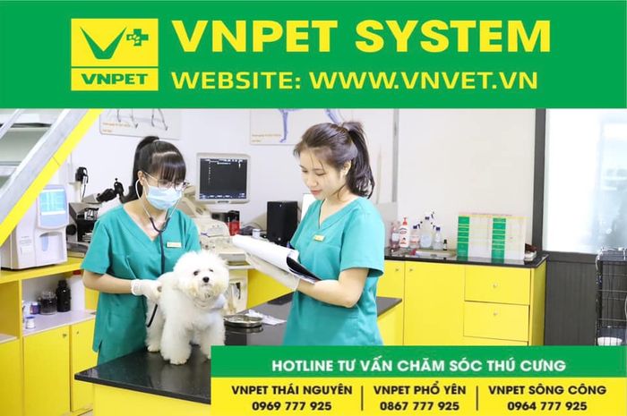Hình ảnh Phòng khám Thú y VNpet Thái Nguyên - Cơ sở vật chất hiện đại
