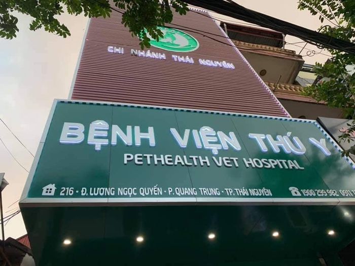 Hình ảnh Bệnh viện Thú y Pethealth - Cơ sở vật chất hiện đại, tiện nghi