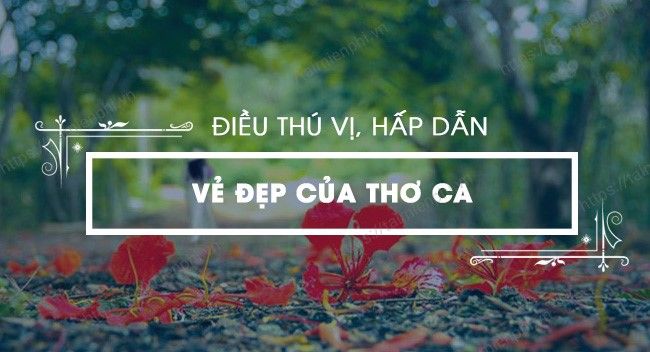 Hình ảnh minh họa chất thơ (Nguồn: internet) ảnh 1