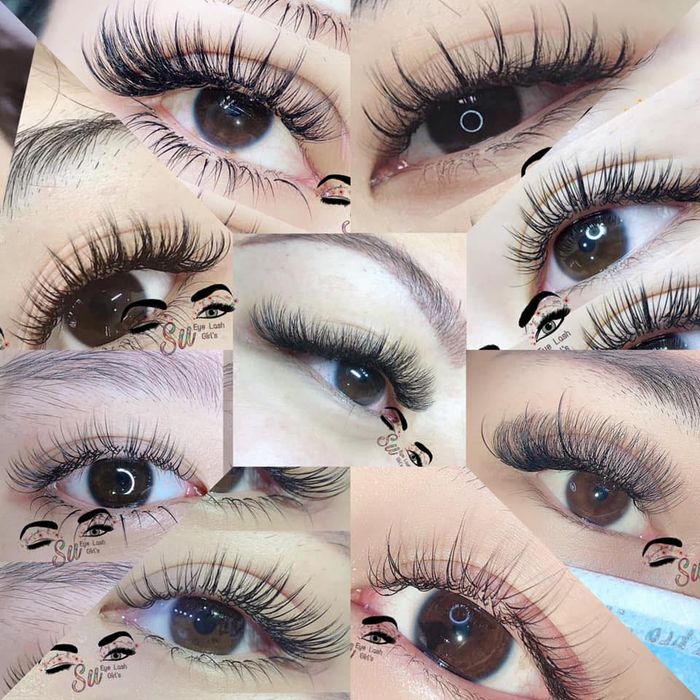 Su EyeLash - Hình ảnh minh họa 2