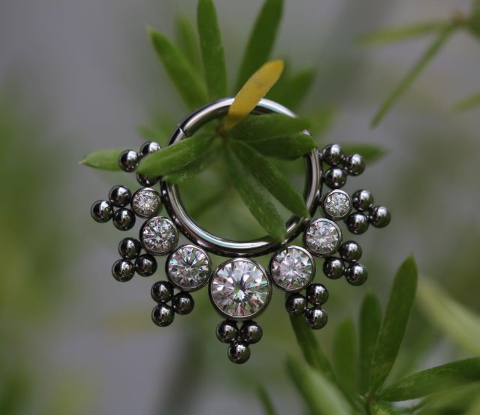 Ruyi Piercing ảnh 1