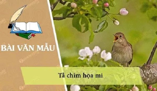 Ảnh minh họa (Nguồn internet) ảnh 1