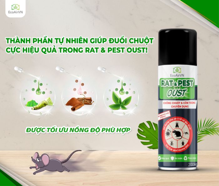 Hình ảnh sản phẩm xịt đuổi chuột Rat & Pest Oust - Bảo vệ dài lâu đến 5 tháng