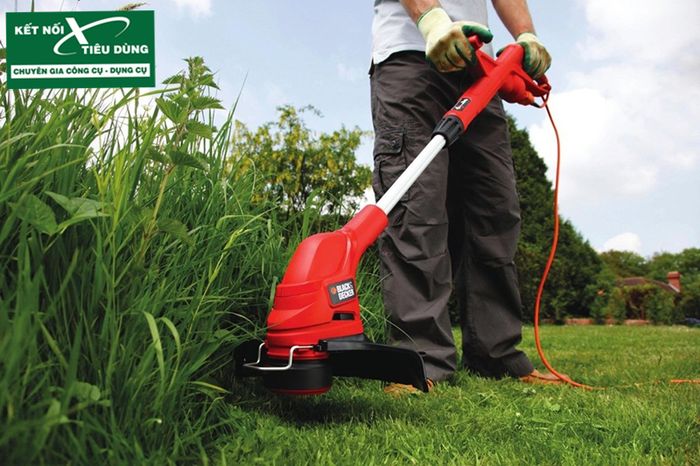 Kết Nối Tiêu Dùng - Hình ảnh minh họa chất lượng sản phẩm và dịch vụ chuyên nghiệp