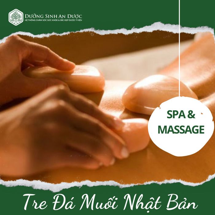 Không gian tinh tế và sang trọng tại An Dược Dưỡng Sinh (Ảnh 1)