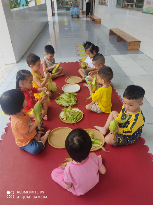 Ảnh 1 - Khuôn viên xanh mát với sân chơi sáng tạo tại Mầm Non Anh Đào