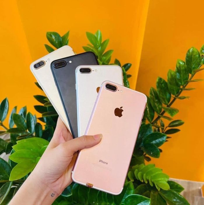 Sản phẩm đa dạng với giá cả hợp lý tại Mobile Sinh Viên 75