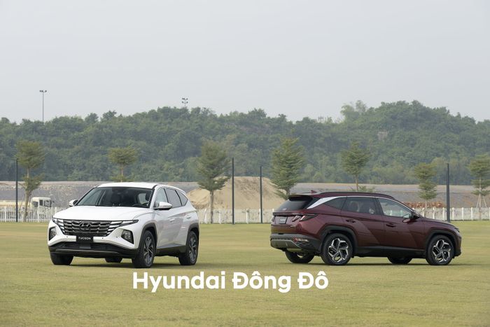 Không gian trưng bày đa dạng mẫu xe tại Hyundai Đông Đô