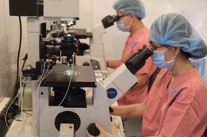 Hình ảnh đội ngũ chuyên gia tại IVF Hùng Vương