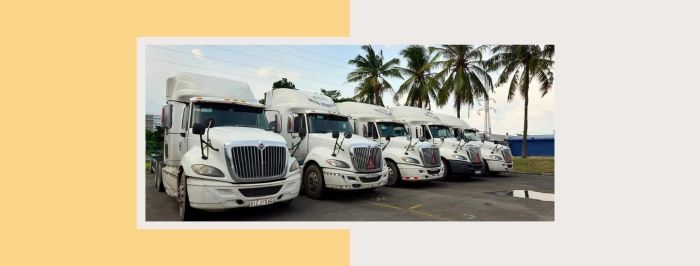 Công ty TNHH Quốc tế Delta - Hình ảnh 1