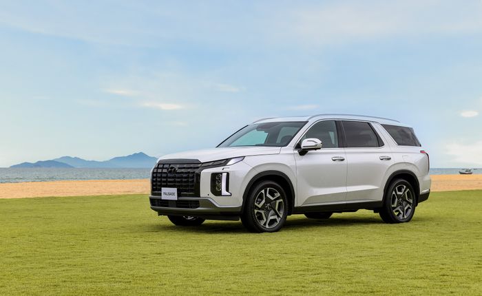 Hyundai Palisade (1).jpg