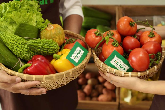 Ảnh 1: TiTi Farm - Nông trại rau sạch thủy canh hàng đầu tại Vũng Tàu