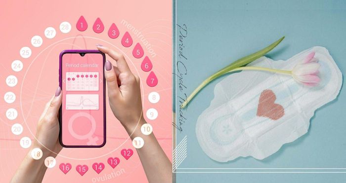 Màn hình phân tích chu kỳ kinh nguyệt trên ứng dụng Clover
