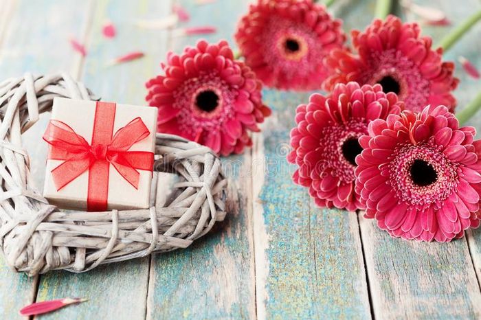 Hình ảnh minh họa 1: Vườn hoa đồng tiền đa sắc
