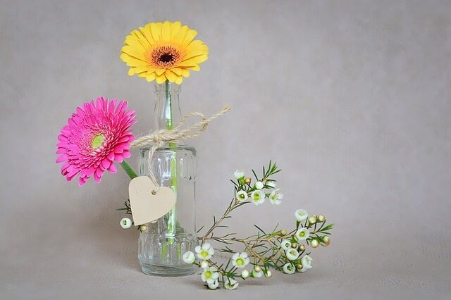 Hình ảnh minh họa 2: Cánh đồng hoa đồng tiền đa sắc