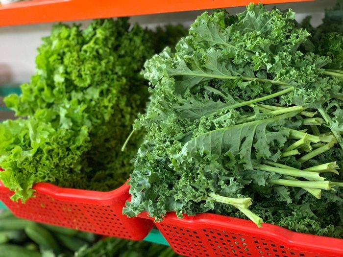 Hình ảnh 1: Nông trại rau hữu cơ OriFarm - Vẻ đẹp của nông nghiệp bền vững
