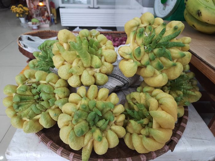 Hình ảnh 2: Nông sản tươi ngon được chăm sóc tỉ mỉ tại Vườn Rau Sạch