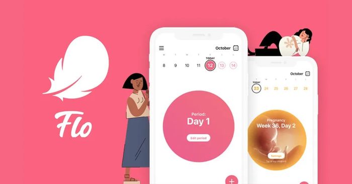 Màn hình phân tích chi tiết chu kỳ kinh nguyệt trên ứng dụng Flo