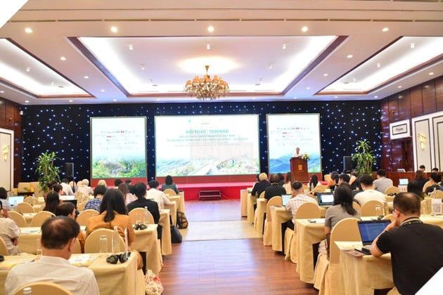 Một trong những điểm nhấn đáng chú ý tại Liên hoan phim châu Á Đà Nẵng 2025 là hội thảo mang tên 'Dấu ấn phim chiến tranh của Việt Nam từ sau ngày đất nước thống nhất'