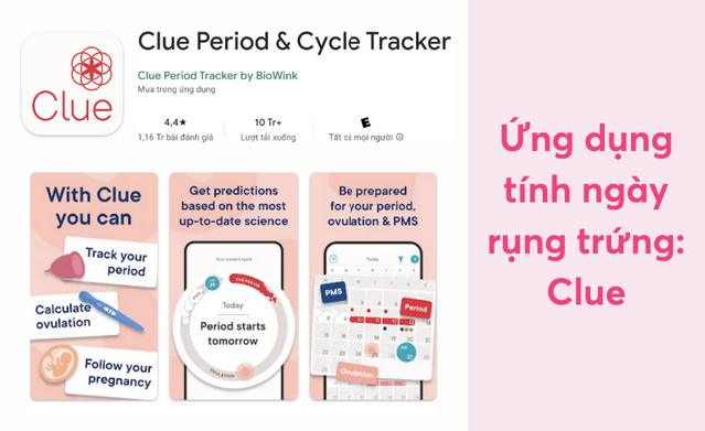 Màn hình phân tích chu kỳ kinh nguyệt chi tiết trên Clue