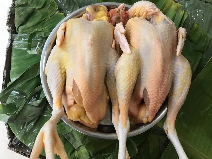 Hình ảnh 1: Không gian xanh mát với đa dạng rau sạch tại Vườn Rau Sạch
