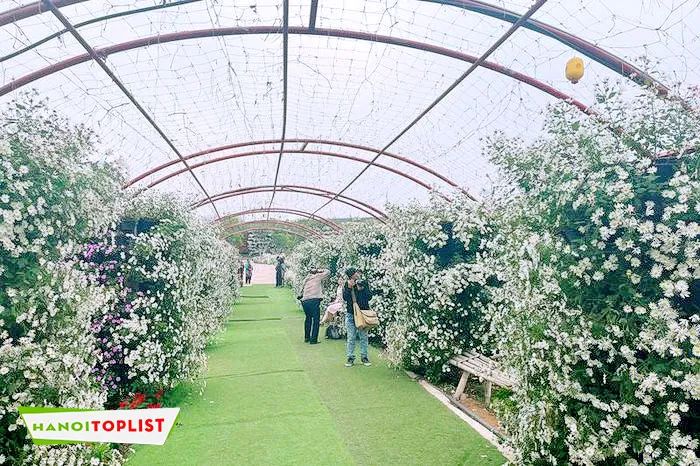 Giới trẻ thủ đô không ngừng rủ nhau đến thung lũng hoa Hồ Tây để khám phá và lưu giữ những khoảnh khắc đẹp giữa thiên đường hoa rực rỡ.